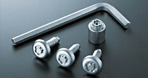 Lock volt/bolt (for license plate)