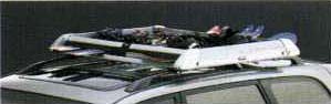All season carrier (roof rail type)/surishisutemuratsuku (all season carrier)