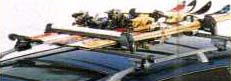 surishisutemuratsuku (based rack (roof rail type))