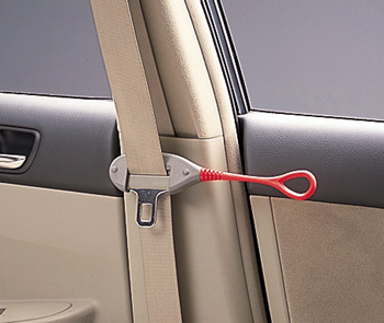 Seat belt support