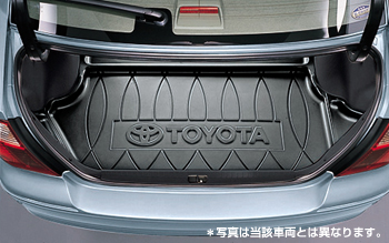 Luggage tray
