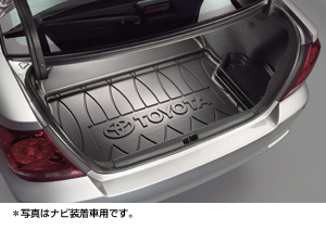Luggage tray