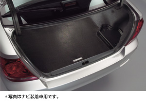 Trunk mat (carpet type)