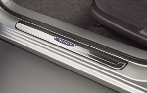 Scuff plate (stainless steel)