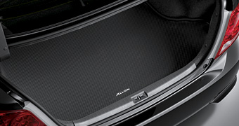 Luggage software tray