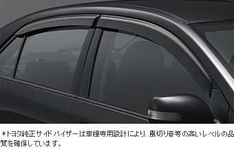 Side visor (BASIC)
