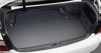 Luggage software tray