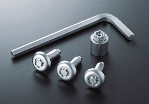 Lock volt/bolt (for license plate)