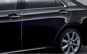 Door edge protector (stainless steel make)