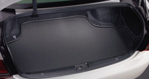 Luggage software tray