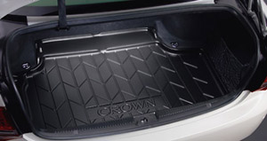 Luggage tray