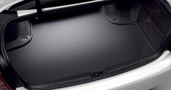 Luggage software tray