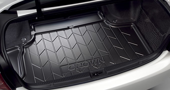 Luggage tray