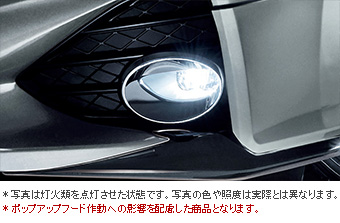 フォグランプガーニッシュ