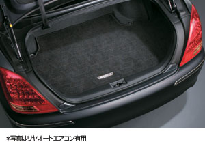 Trunk mat (carpet type)