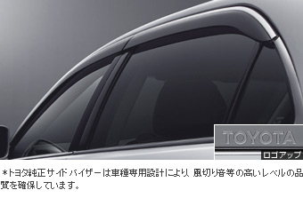 Side visor (BASIC)
