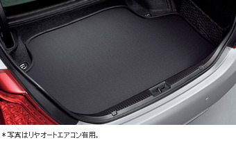 Luggage software tray