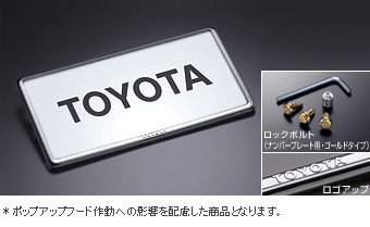 盗難防止ナンバーフレームセット（タイプ１)：デラックス ベーシックアイテム(セットアイテム（ロックボルト（ナンバープレート用ゴールドタイプ））)(ナンバーフレーム フロント/リヤ（デラックス）)
