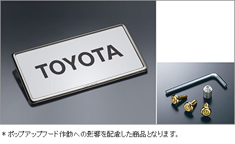 盗難防止ナンバーフレームセット（タイプ１)：デラックス ベーシックアイテム(セットアイテム（ロックボルト（ナンバープレート用ゴールドタイプ））)(ナンバーフレーム フロント/リヤ（デラックス）)