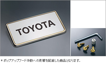 盗難防止ナンバーフレームセット（タイプ３）：プレステージ ベーシックアイテム(セットアイテム（ロックボルト（ナンバープレート用ゴールド））)(ナンバーフレーム フロント/リヤ（プレステージ))