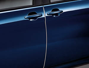Door edge protector (stainless steel make 1 units set)
