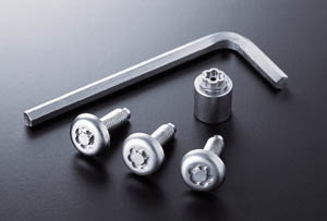 Lock volt/bolt (for license plate)