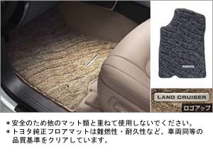 Floor mat (excellent)