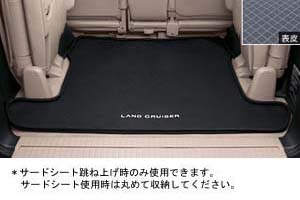 Luggage software tray