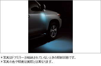 Well cam write set well cam light/write (driver's seat suicide seat) (door mirror cover driver's seat) (door mirror cover suicide seat) (door mirror lower cover RH)