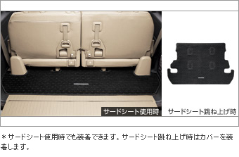 Trunk mat (carpet type)