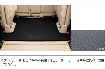 Luggage software tray