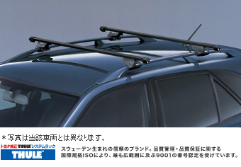 surishisutemuratsuku (based rack (roof rail type))