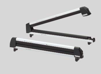 surishisutemuratsuku (skiing &amp\; snow board attachment 6)