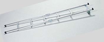 Wagon ladder