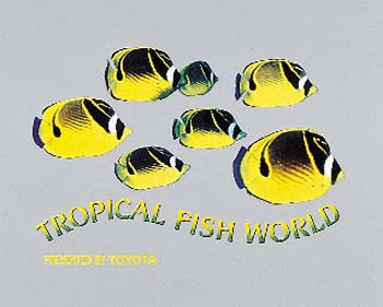Accent sticker (marine)