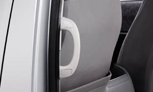 Rear assist grip (for LH)