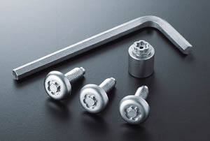 Lock volt/bolt (for license plate)
