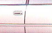 Door edge protector (stainless steel make 1 units set)