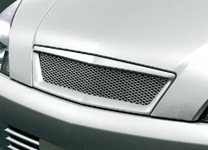 Sport grill