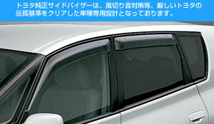 Side visor