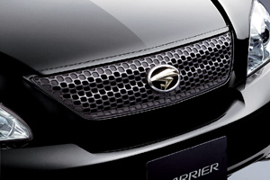 Sport grill