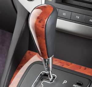 Shifter knob