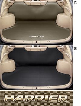 Reversible luggage mat