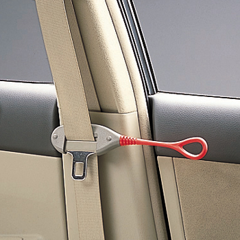 Seat belt support