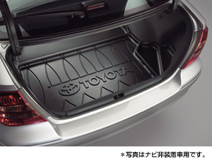 Luggage tray