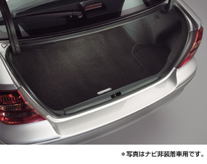 Trunk mat (carpet type)