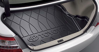 Luggage tray
