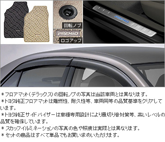 BASIC set (type 4) BASIC item (set item (scuff illumination))(Set item (primer for scuff illumination))(Floor mat (deluxe))(Side visor (BASIC))