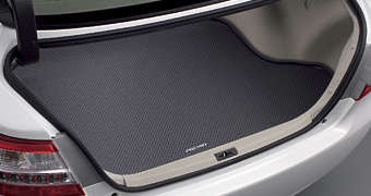 Luggage software tray