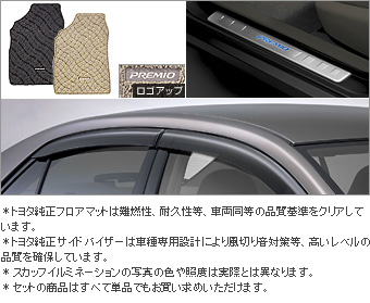 BASIC set (type 4) BASIC item (set item (scuff illumination))(Set item (primer for scuff illumination))(Floor mat (deluxe))(Side visor (BASIC))